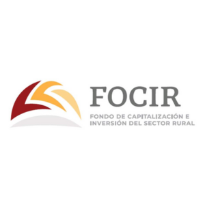 FOCIR 